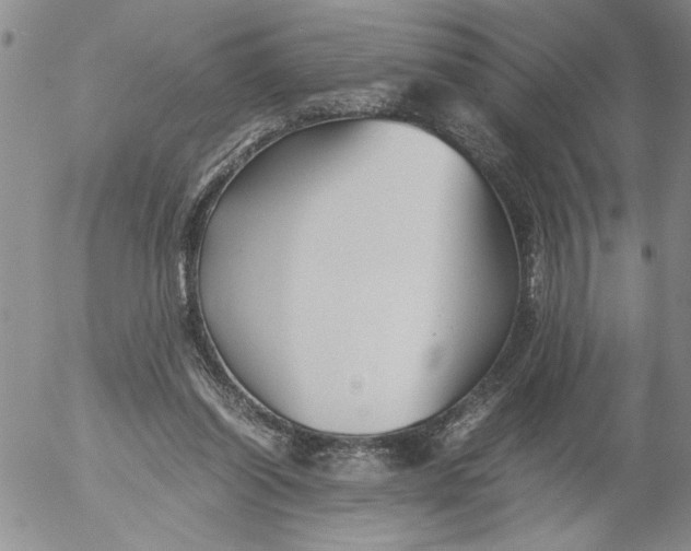 X0000053050254200508011855