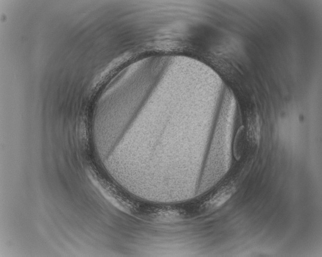 X0000053050256200508011855