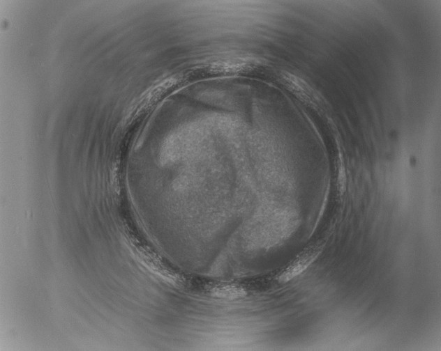 X0000053050258200508011855