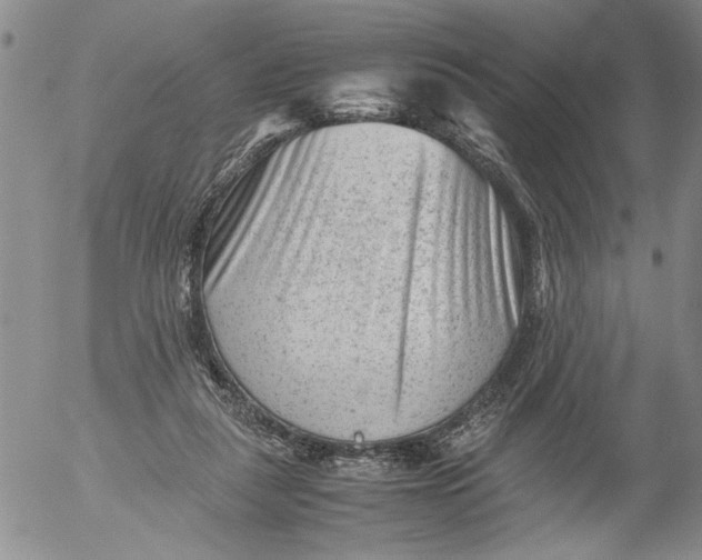 X0000053050259200508011855