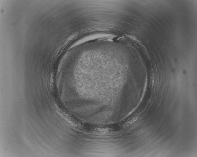 X0000053050260200508011855