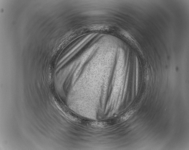 X0000053050261200508011855