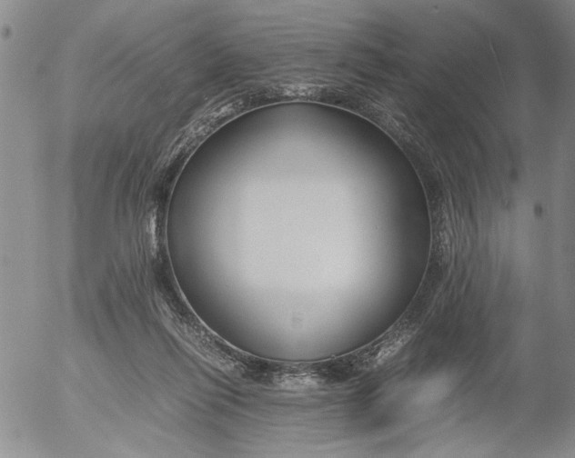 X0000053050262200508011855