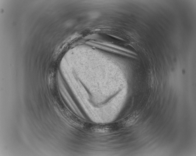 X0000053050263200508011855