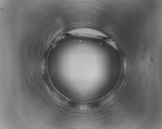 X0000053050264200508011855