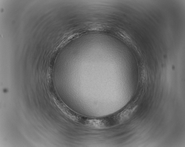 X0000053050265200508011855