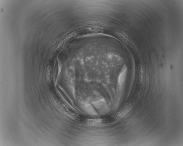 X0000053050266200508011855