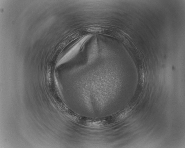 X0000053050267200508011855