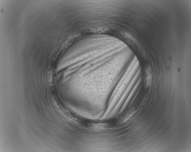 X0000053050268200508011855