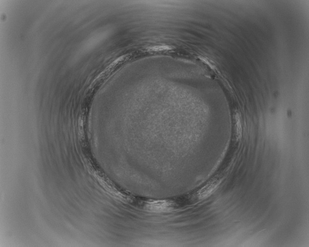 X0000053050269200508011855