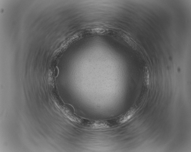 X0000053050270200508011855