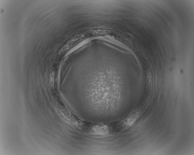 X0000053050271200508011855