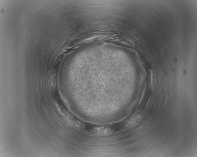 X0000053050272200508011855