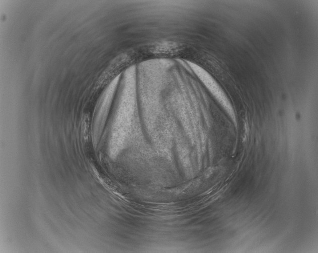 X0000053050273200508011855