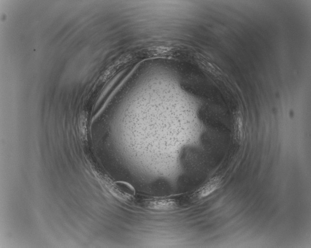 X0000053050274200508011855