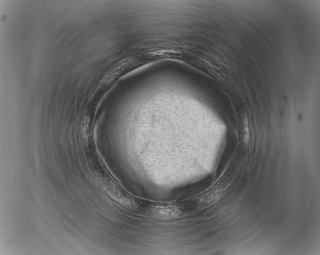 X0000053050275200508011855