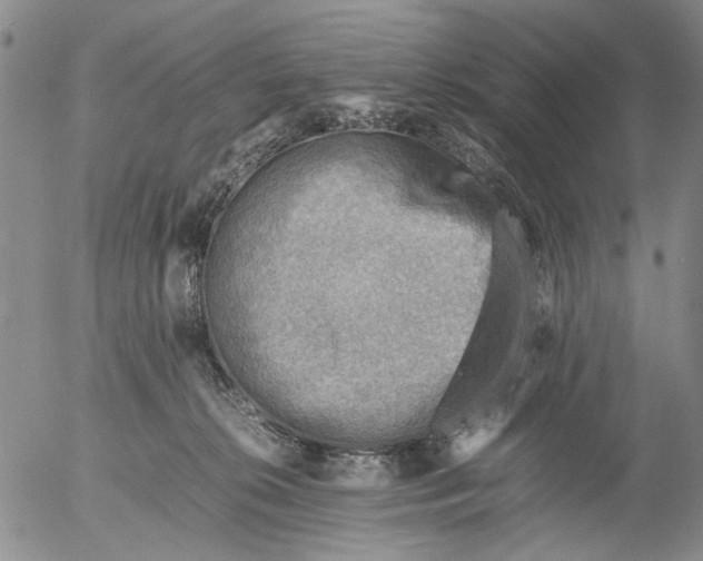 X0000053050276200508011855