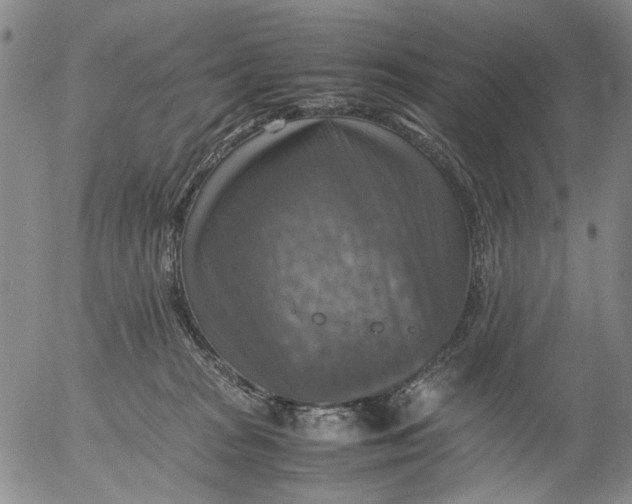 X0000053050277200508011855