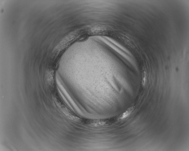 X0000053050278200508011856