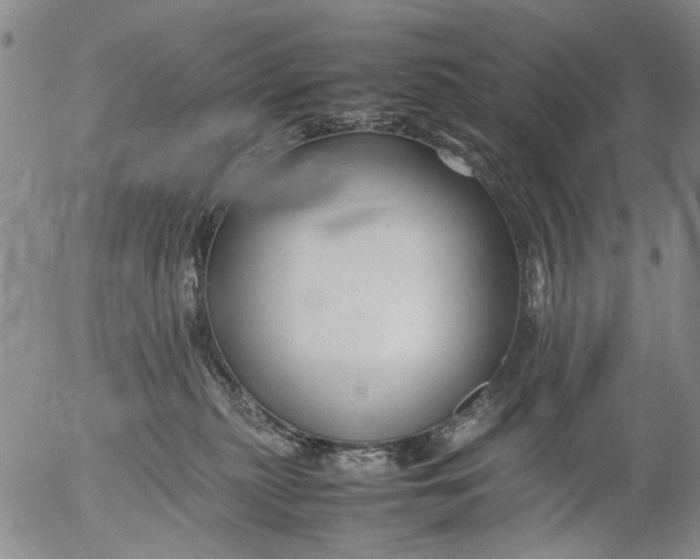 X0000053050279200508011856