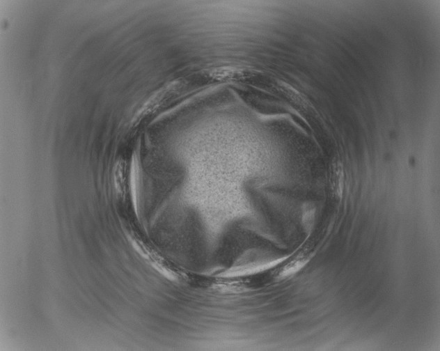 X0000053050280200508011856