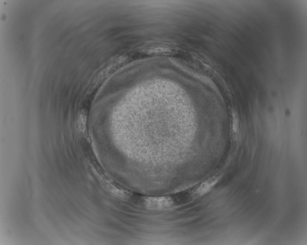 X0000053050281200508011856