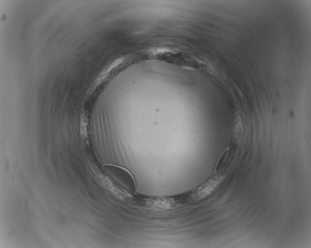 X0000053050282200508011856