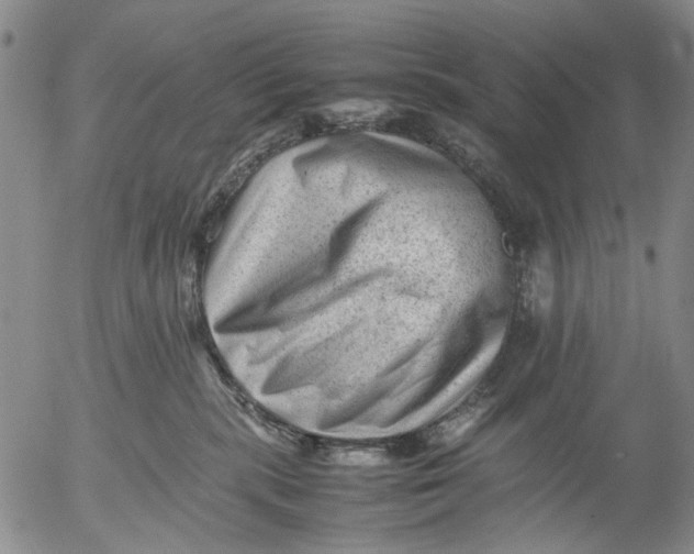 X0000053050283200508011856