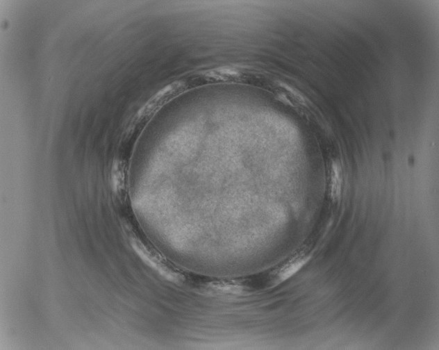 X0000053050284200508011856