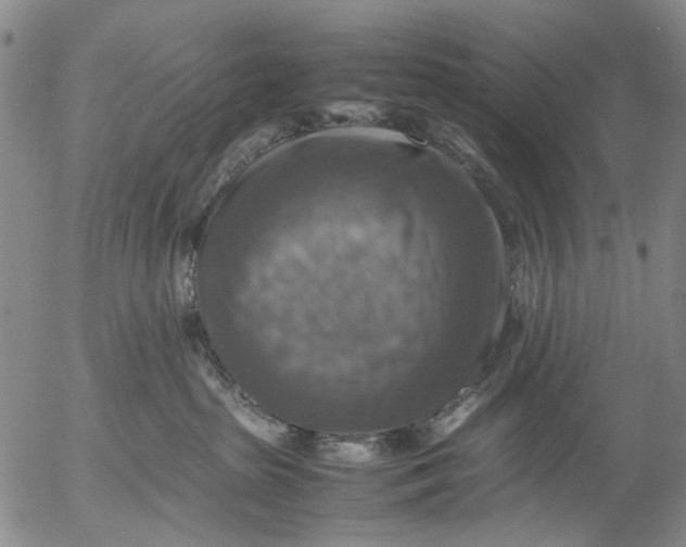 X0000053050285200508011856