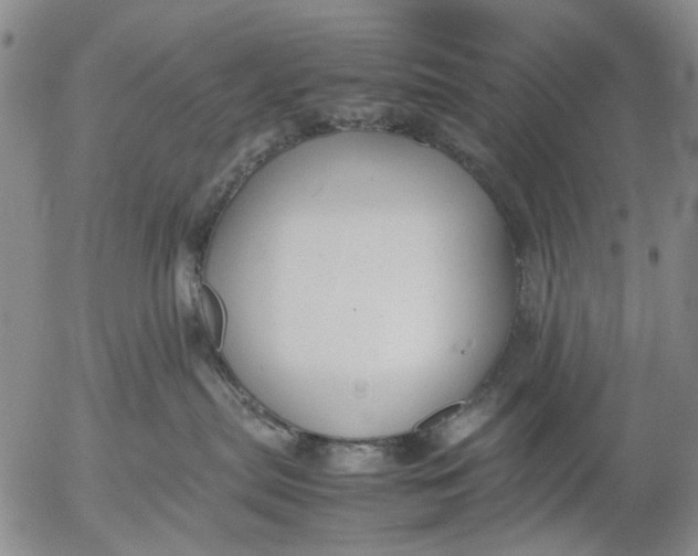 X0000053050287200508011856