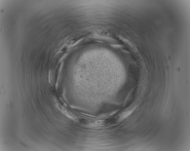 X0000053050288200508011856