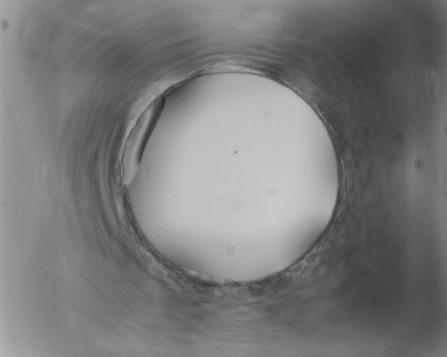 X0000053050289200508011855