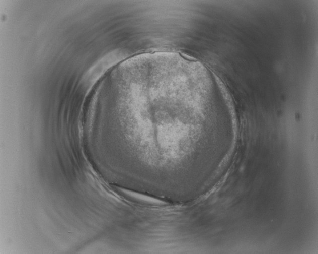 X0000053050290200508011855