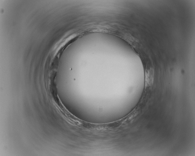 X0000053050291200508011855