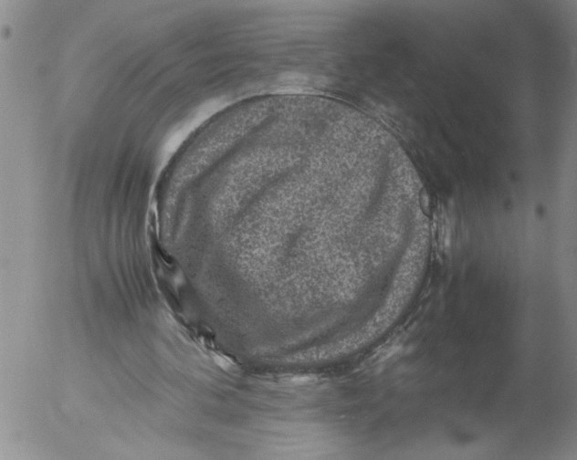 X0000053050292200508011855