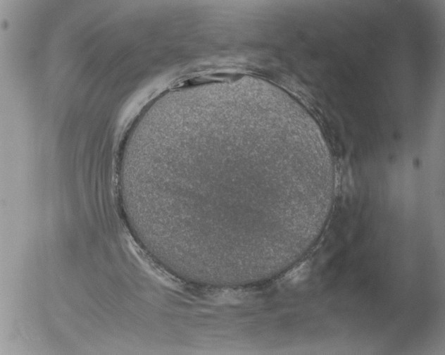 X0000053050293200508011855