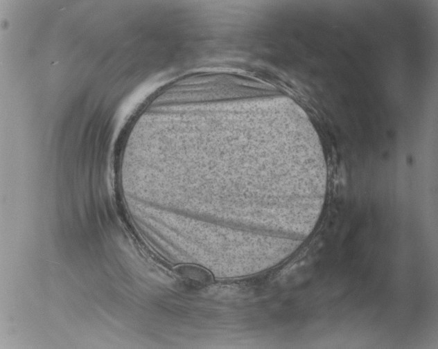 X0000053050294200508011855