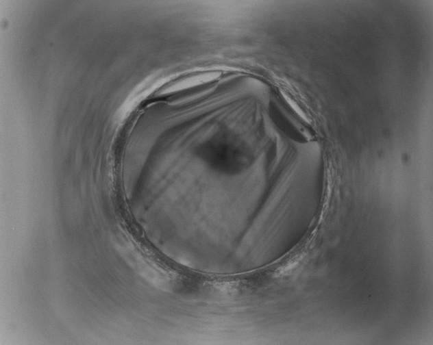 X0000053050295200508011855