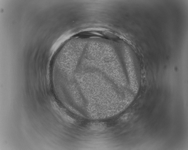 X0000053050296200508011855