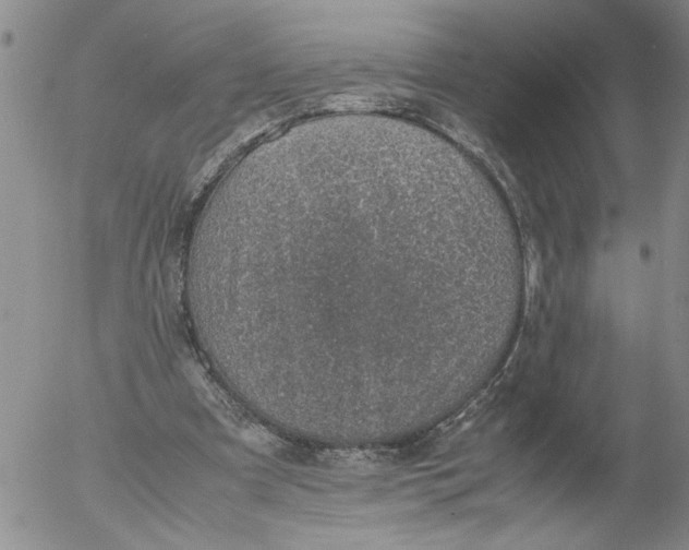 X0000053050297200508011855