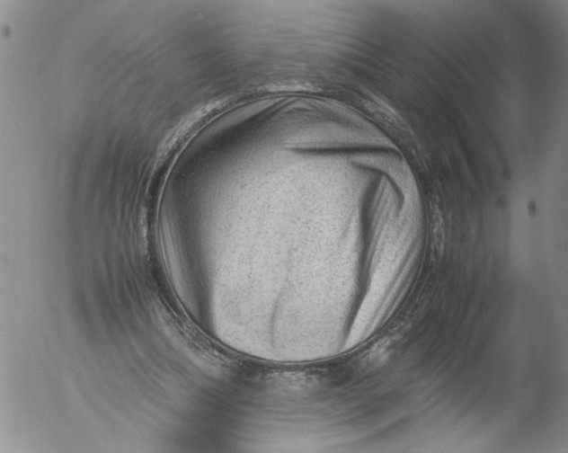 X0000053050298200508011855