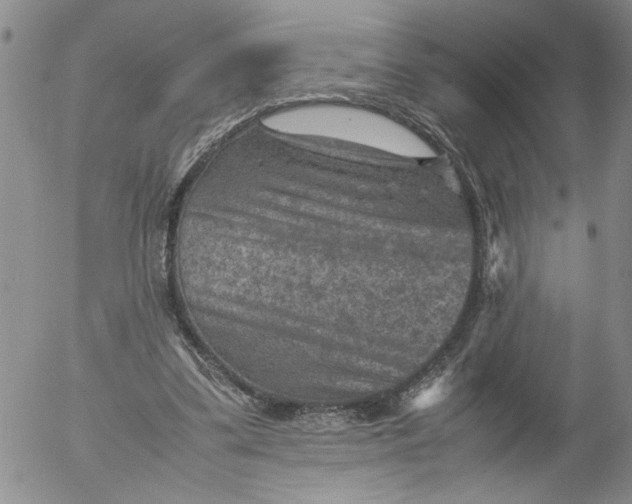 X0000053050299200508011855