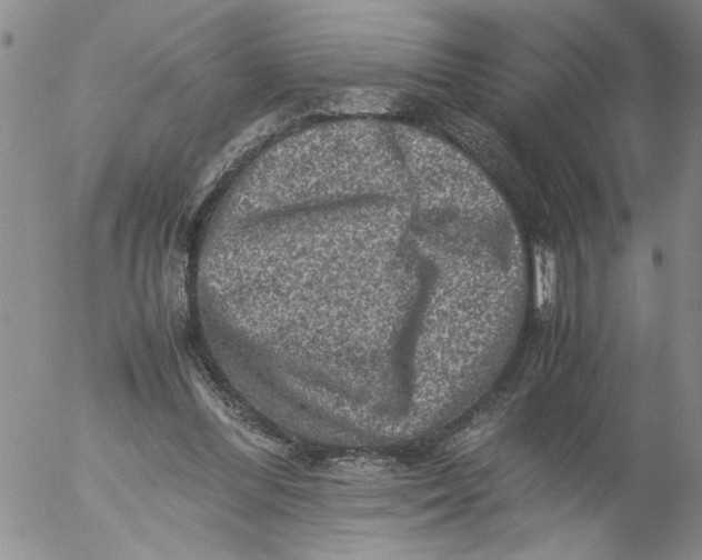 X0000053050300200508011855