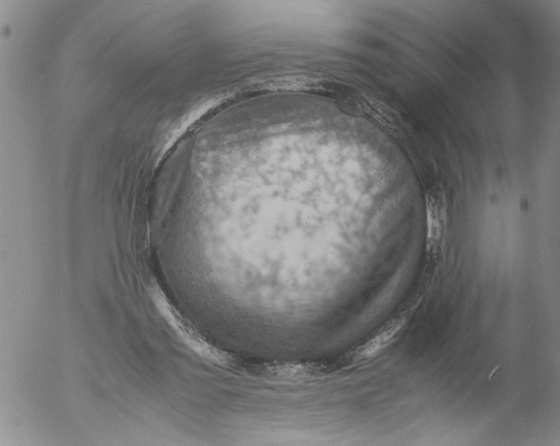 X0000053050301200508011855