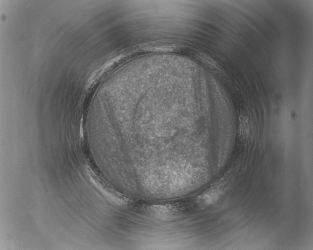 X0000053050302200508011855