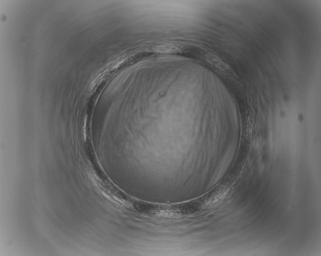 X0000053050303200508011855