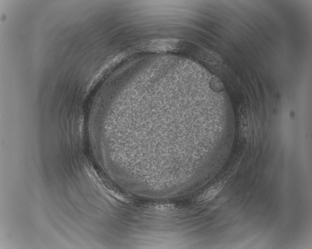 X0000053050304200508011855