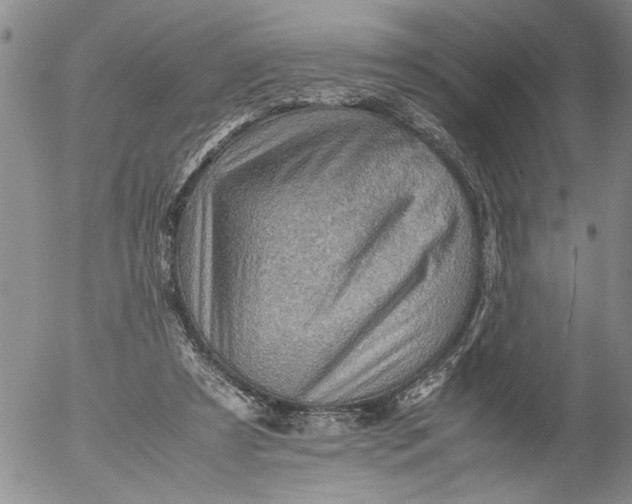 X0000053050305200508011855