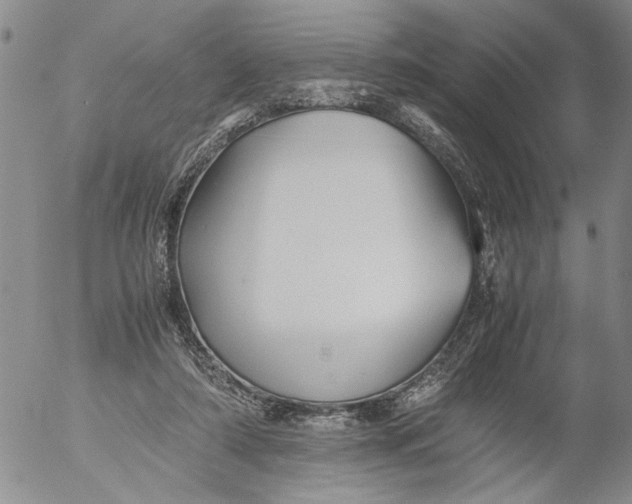 X0000053050306200508011855